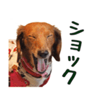蛍光灯姉妹（個別スタンプ：23）