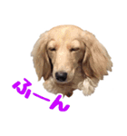 蛍光灯姉妹（個別スタンプ：25）