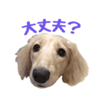 蛍光灯姉妹（個別スタンプ：27）