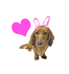 蛍光灯姉妹（個別スタンプ：29）