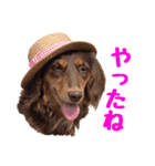 蛍光灯姉妹（個別スタンプ：33）