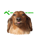 蛍光灯姉妹（個別スタンプ：34）