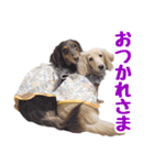 蛍光灯姉妹（個別スタンプ：35）