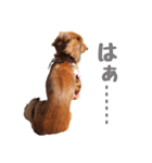 蛍光灯姉妹（個別スタンプ：36）