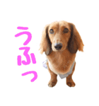 蛍光灯姉妹（個別スタンプ：39）