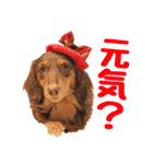 蛍光灯姉妹（個別スタンプ：40）