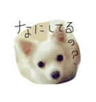 みかんとこむぎその2（個別スタンプ：23）