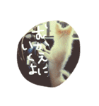 みかんとこむぎその2（個別スタンプ：28）