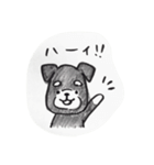 ミニチュアシュナウザーのレオン（個別スタンプ：1）