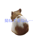 ゴールデンハムスターのふぅみぅ＆ベビハム（個別スタンプ：6）