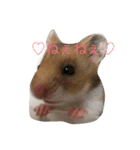 ゴールデンハムスターのふぅみぅ＆ベビハム（個別スタンプ：9）