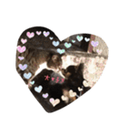 れおの仲間♡♡（個別スタンプ：9）