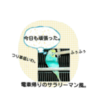 ぴよぴよインコの毎日。（個別スタンプ：1）