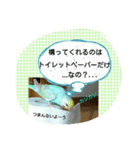 ぴよぴよインコの毎日。（個別スタンプ：4）