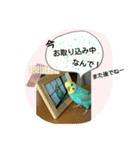 ぴよぴよインコの毎日。（個別スタンプ：6）