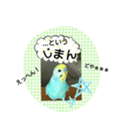 ぴよぴよインコの毎日。（個別スタンプ：7）