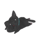 愛され黒猫（個別スタンプ：3）