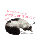 愚痴を吐きまくるマイペースにゃんこーず（個別スタンプ：33）