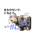 愚痴を吐きまくるマイペースにゃんこーず（個別スタンプ：40）
