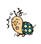 my tortoise sokura and ashu（個別スタンプ：1）