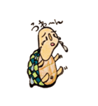 my tortoise sokura and ashu（個別スタンプ：12）