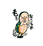 my tortoise sokura and ashu（個別スタンプ：19）