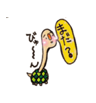 my tortoise sokura and ashu（個別スタンプ：37）