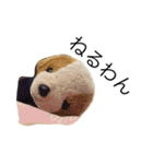 ぽにちゃん（個別スタンプ：8）