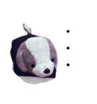 ぽにちゃん（個別スタンプ：13）