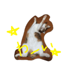 三毛猫 ひめ（個別スタンプ：22）