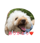 ラテポンポン（個別スタンプ：4）