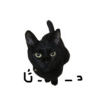くろねこ〜Happy black cat〜（個別スタンプ：1）