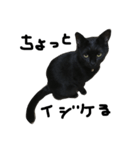 くろねこ〜Happy black cat〜（個別スタンプ：2）