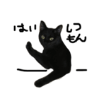 くろねこ〜Happy black cat〜（個別スタンプ：3）