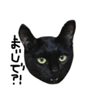 くろねこ〜Happy black cat〜（個別スタンプ：7）