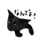 くろねこ〜Happy black cat〜（個別スタンプ：12）