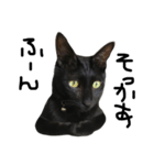 くろねこ〜Happy black cat〜（個別スタンプ：14）