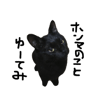 くろねこ〜Happy black cat〜（個別スタンプ：15）