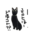 くろねこ〜Happy black cat〜（個別スタンプ：17）