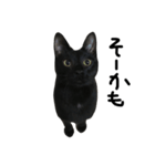 くろねこ〜Happy black cat〜（個別スタンプ：24）
