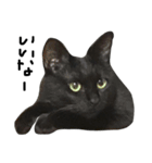 くろねこ〜Happy black cat〜（個別スタンプ：25）