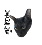 くろねこ〜Happy black cat〜（個別スタンプ：26）