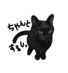 くろねこ〜Happy black cat〜（個別スタンプ：27）