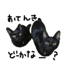 くろねこ〜Happy black cat〜（個別スタンプ：29）