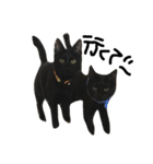 くろねこ〜Happy black cat〜（個別スタンプ：32）