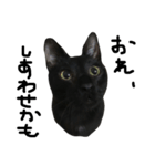 くろねこ〜Happy black cat〜（個別スタンプ：33）