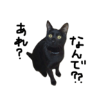 くろねこ〜Happy black cat〜（個別スタンプ：35）