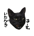 くろねこ〜Happy black cat〜（個別スタンプ：36）