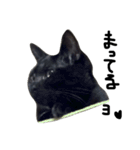 くろねこ〜Happy black cat〜（個別スタンプ：38）