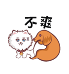 Meow and wang（個別スタンプ：4）